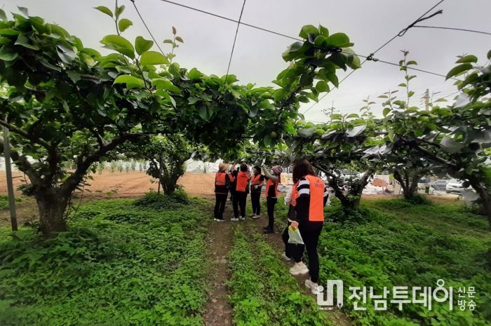 장흥소방서, 대덕읍 여성의용소방대 농촌일손돕기 봉사활동 실시