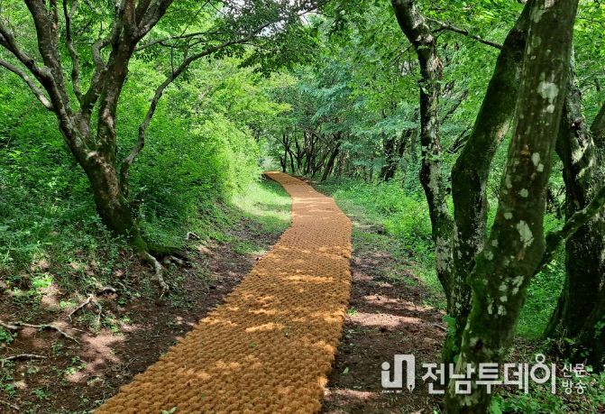 노루생태관찰원 탐방로 정비 완료