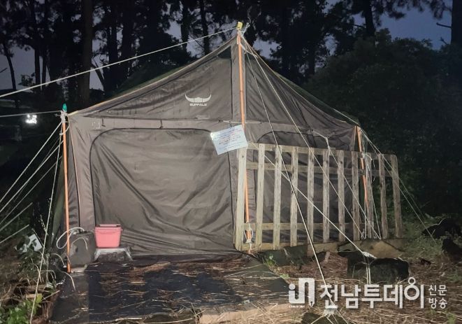 금능야영장 방치텐트