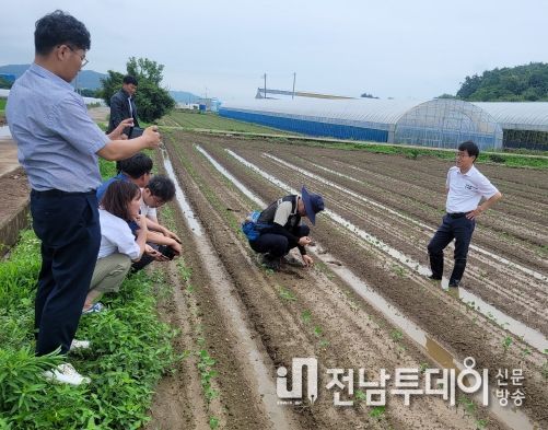 센터 관계자들이 논콩 재배지 현장 점검을 실시하고 있다
