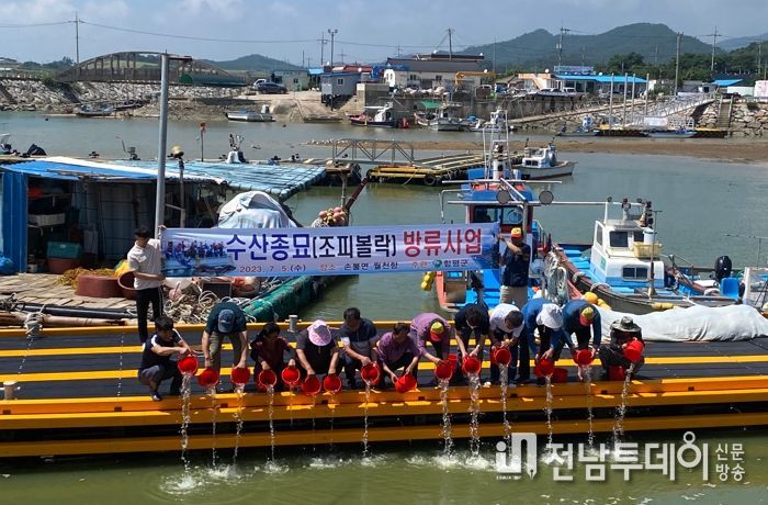 함평만 일원에서 조피볼락 방류 사업을 하고 있다