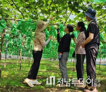 농업기술센터에서 원예작물 현장 지도를 하고 있는 모습