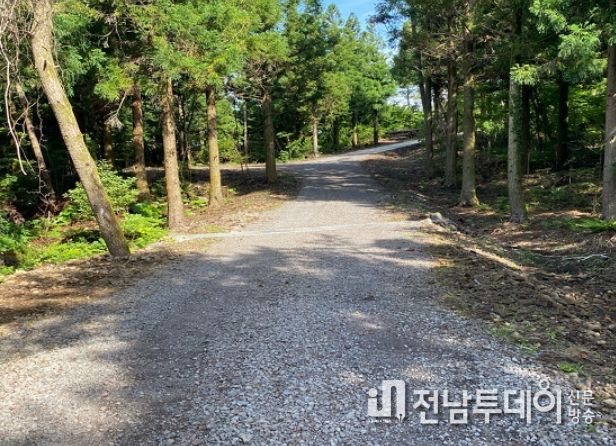 상천임도 (2022년 신설)