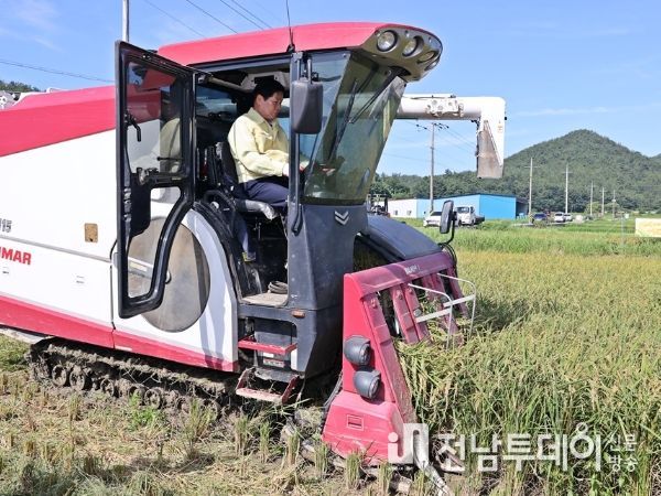 고흥군, 올해 벼‘첫 수확’ 햅쌀 시장 선점