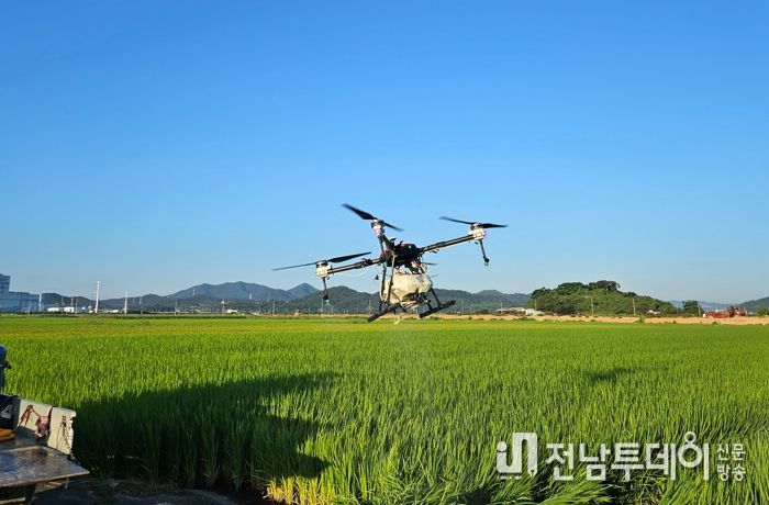 광양시, 드론 활용 벼 병해충 방제 및 비료 살포 지원
