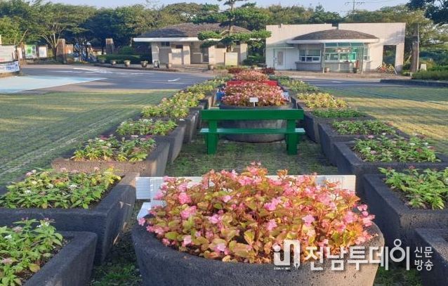 계절화 양묘