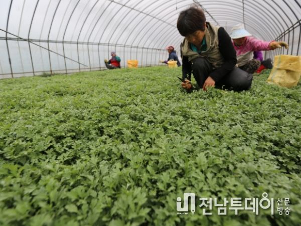 해남군, 친환경 과수․채소 전문단지 조성사업 공모선정