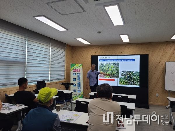 만감류 재배농가 현장 기술교육 모습