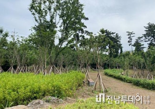기후대응 도시숲