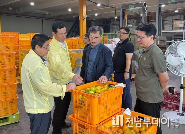 감귤 유통처리 상황 현장 점검하는 안우진 부시장