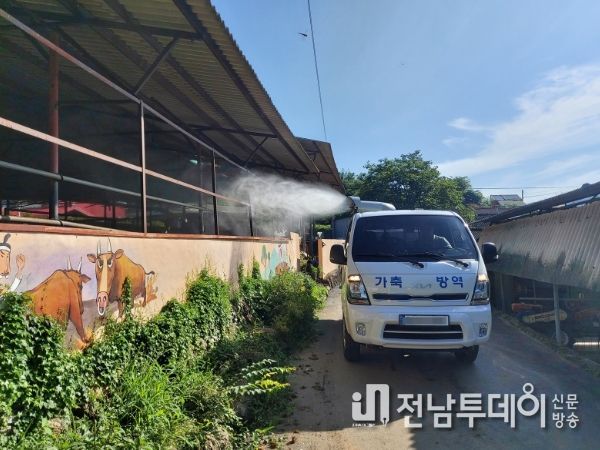 보성군, 추석 대비 재난형 가축 전염병 차단을 위한 특별 방역 추진