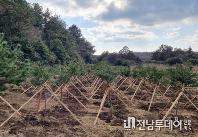 조림사업