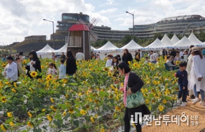 영천동 해바라기축제