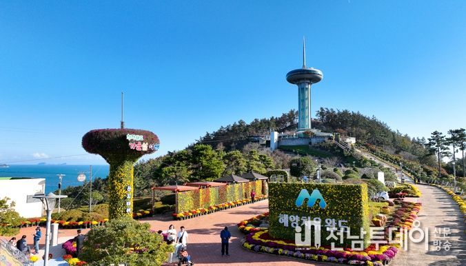 완도타워 ‘국화 1만 6천 본으로 꽃단장’ 11월 5일까지 전시