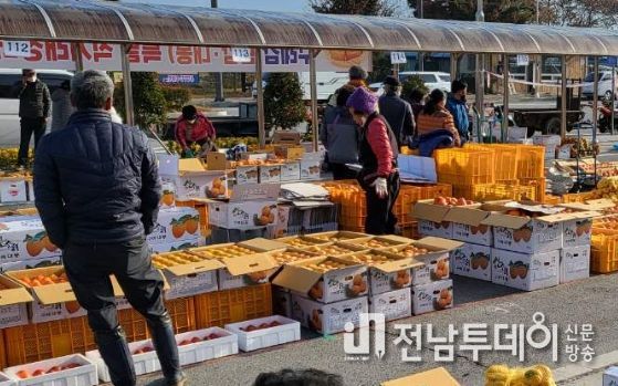 구례군, ‘구례 감’특별 직거래 장터 운영