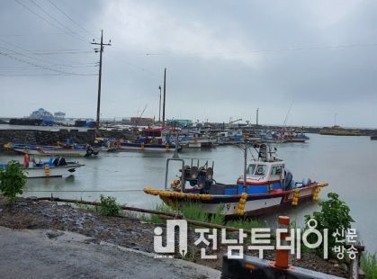 보성군, 전국 동시 어업 허가 갱신 추진 “어업허가 신청하세요”