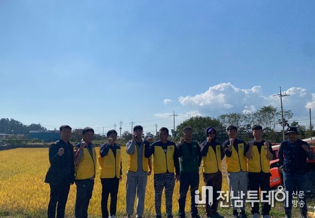 공동과제포 벼 수확 모습
