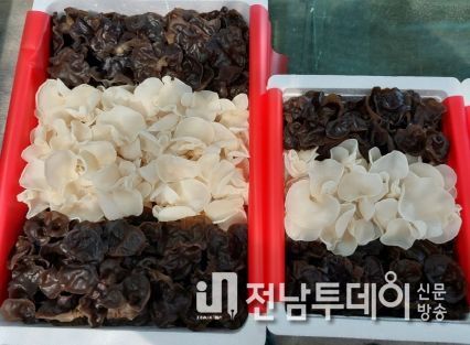 완도 목이버섯, 전남 임산물 품평회서 우수상 수상