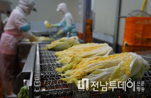 해남군, 원산지 속여‘해남배추 둔갑’꼼짝마!