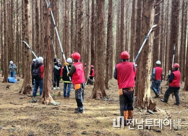 2023년 숲가꾸기 체험행사