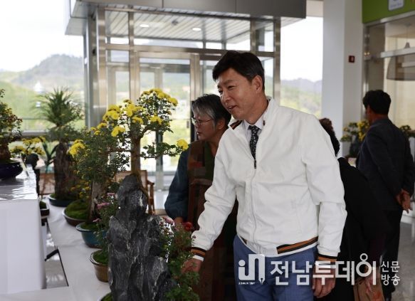 보성군, 보배성 시월국화 분재 전시회 개최!_김철우 보성군수가 국화분재를 관람하고 있다.
