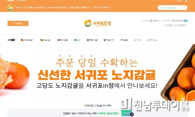 서귀포in정