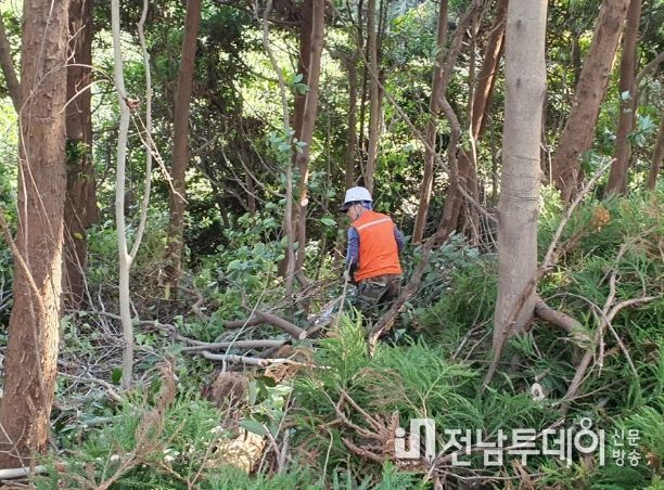 2023년 하반기 고품격 숲 가꾸기