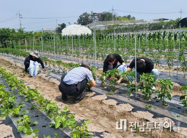 2023년 영농현장 기술지원단 활동 모습