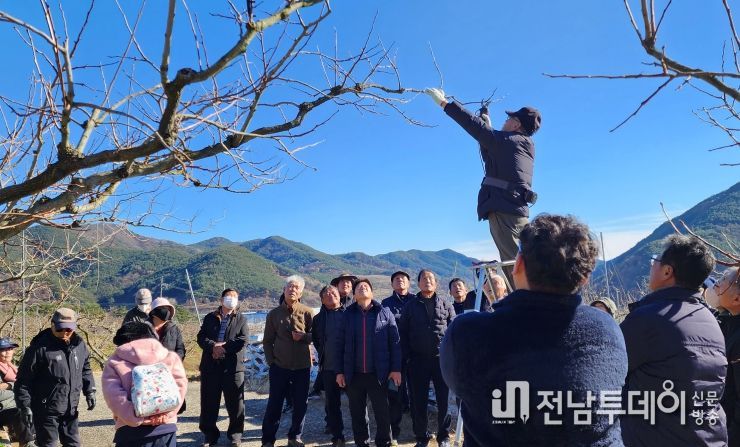 전정 교육 모습