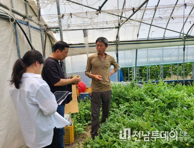 공인배 지도사가 미니수박 현장 지도를 하고 있는 모습