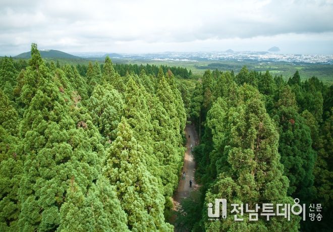서귀포 치유의 숲
