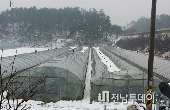 함평군, 겨울철 한파·폭설 대비 시설물 관리 당부