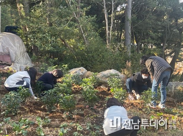 수망리 치매안심마을 치매 안심 길 걷기 코스 조성