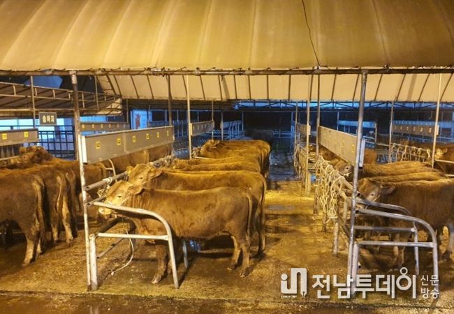 장성군, 황룡우시장 새로 짓는다
