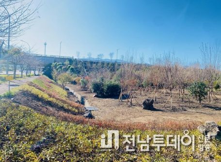 제주시, 600만 그루 나무심기 성공적 추진