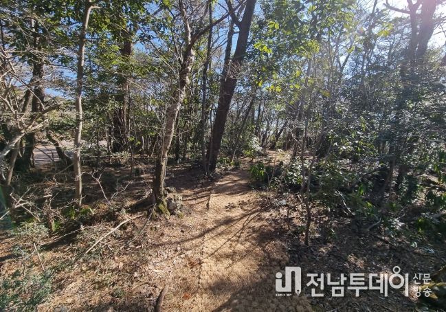 서귀포휴양림 숲길산책로