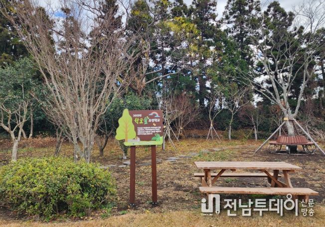 안덕초 학교 숲