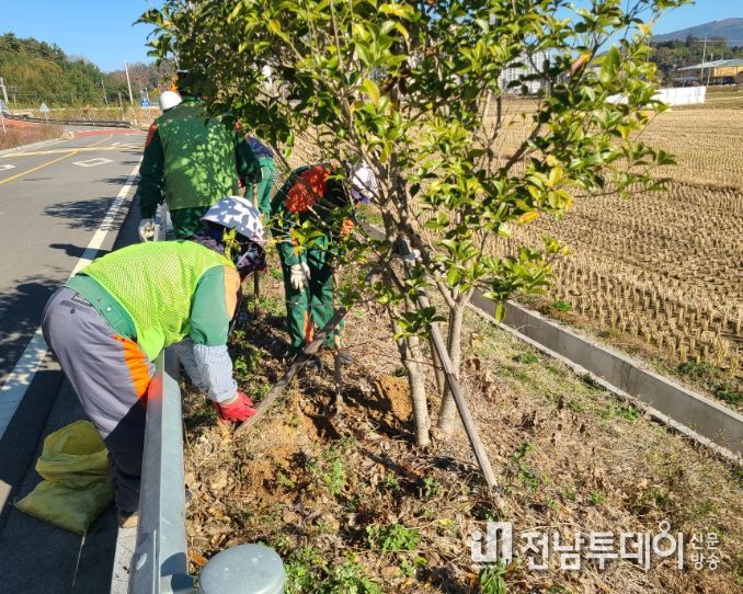 보성군, 주민 참여형 ‘보성 나무 사랑의 날’ 지정 운영