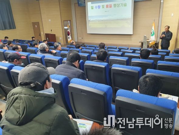 함평군, 고품질 밀 재배교육 실시