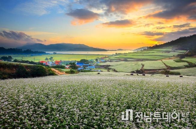 장흥 선학동마을, 유엔관광청 ‘최우수 관광마을’ 후보 선정