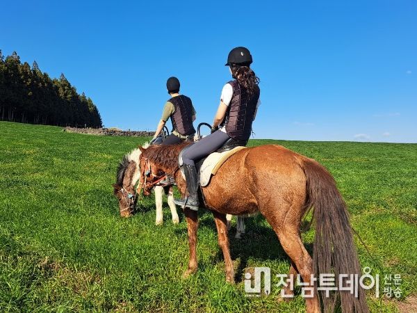 서귀포시, 2024년 시민건강 힐링 승마 교실 참여 대상자 모집