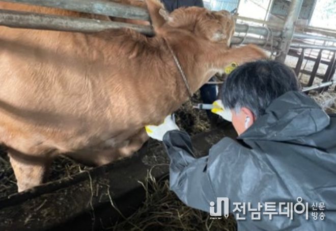 검진 채혈