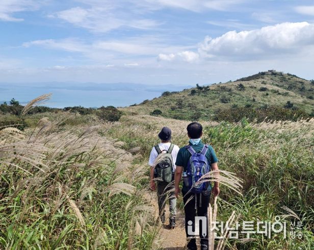 천관산 억새