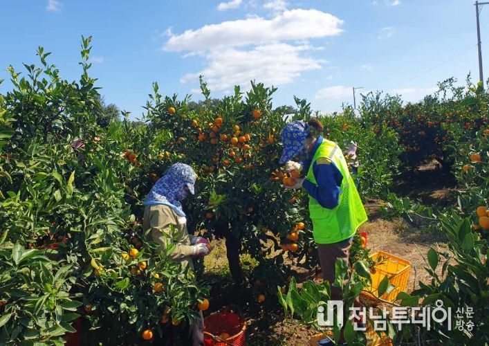 외국인근로자 작업