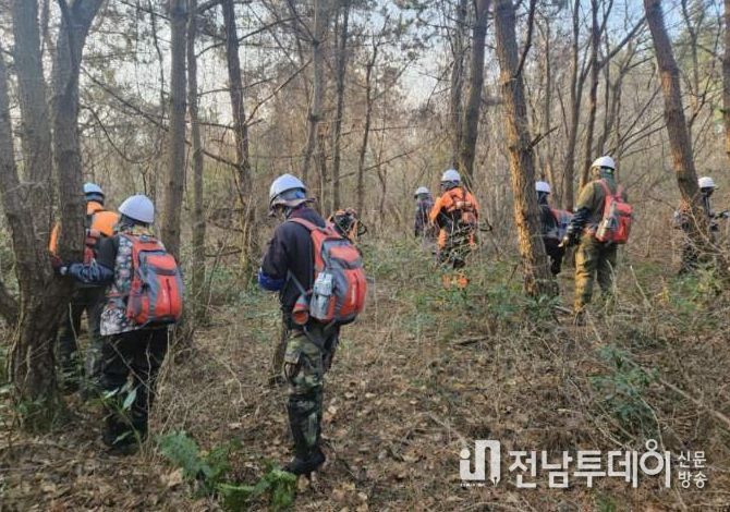 소나무재선충병 방제