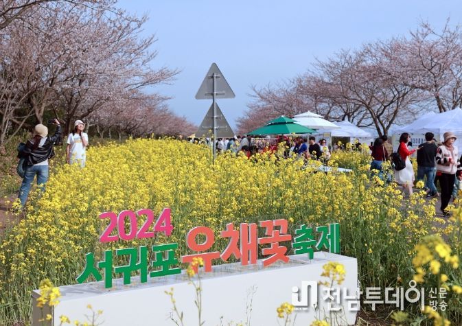 2024 서귀포유채꽃축제