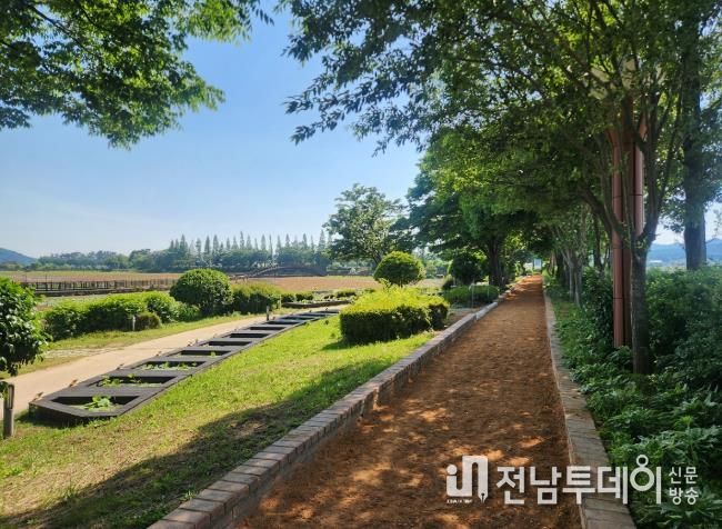 무안군 무안회산백련지, 500m 황토 맨발길 6월 1일 개장