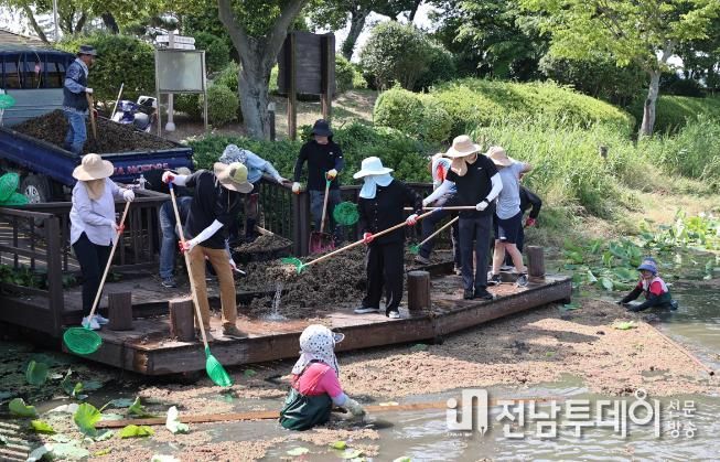 무안군, 무안회산백련지 물개구리밥 제거 구슬땀