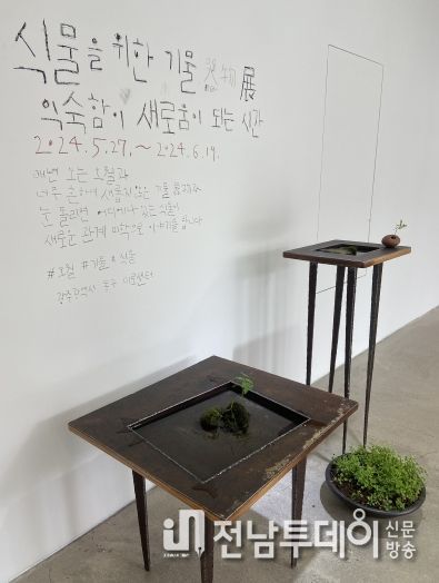 광주광역시 동구, ‘식물과 기물이 만들어내는 관계 미학’