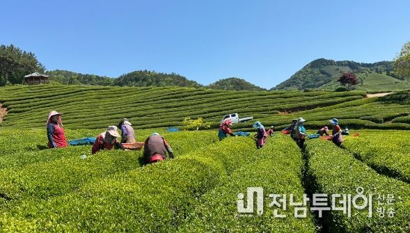 전남도, 농번기철 지역상생 농촌 일자리 사업